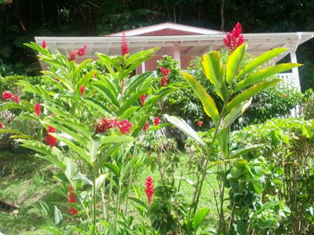 Chez Ophelia Cottage Apartments ロゾー 部屋 写真