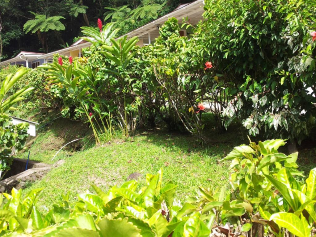 Chez Ophelia Cottage Apartments ロゾー 部屋 写真